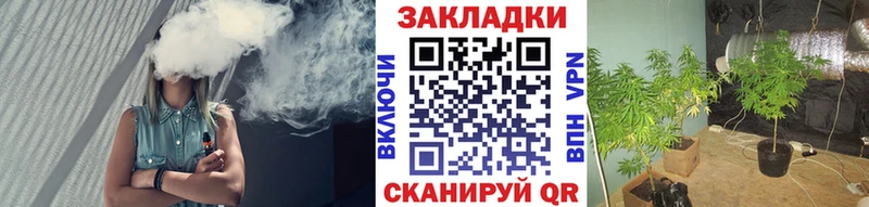 Сколько стоит Аргун КОКАИН  APVP  Каннабис  Амфетамин  ГАШИШ 
