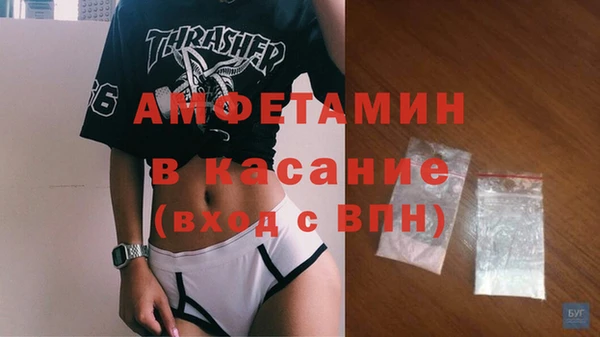 стафф Алексин