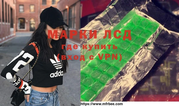 стафф Алексин