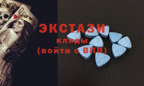 стафф Алексин