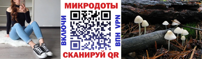 Галлюциногенные грибы Cubensis blacksprut зеркало Аргун